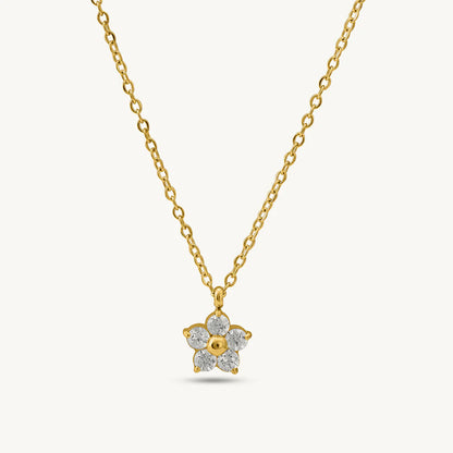 Cassia Minimal Necklace - 18K Gold Anti-Tarnish